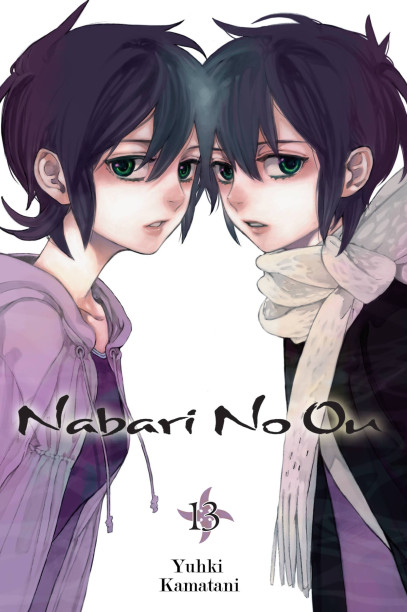 Cover of Nabari no ou, volume 13