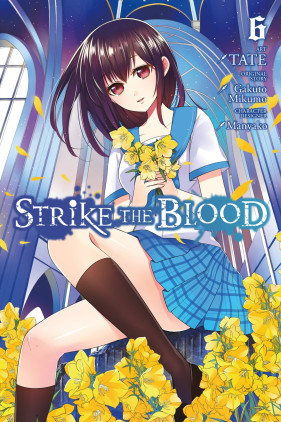 HQs: STRIKE THE BLOOD, VOL. 10 (MANGA)