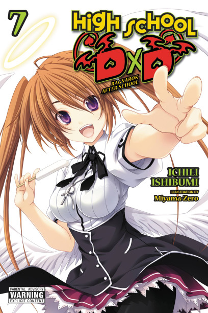 10 Manga Like High School DxD DX (Light Novel)