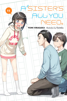 A Sister's All You Need., Vol. 11 (light novel)