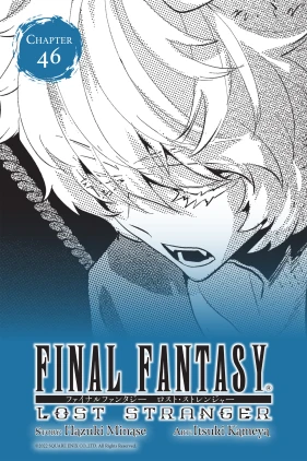 Final Fantasy Lost Stranger, Chapter 46