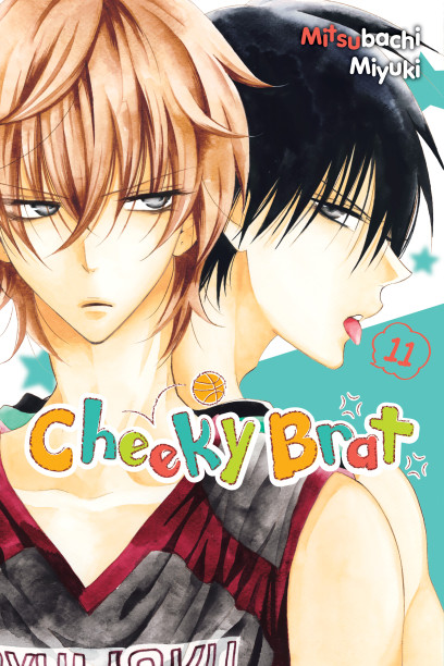 series cover