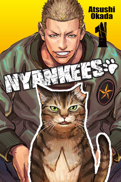 series cover
