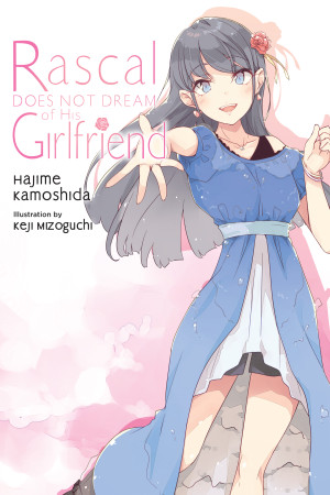 Rascal Does Not Dream of His Girlfriend (light novel)