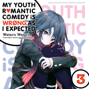 My Youth Romantic Comedy Is Wrong, As I Expected, Vol. 3