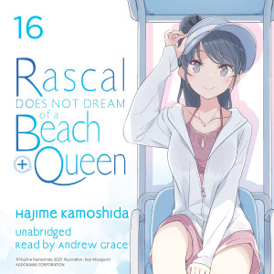 Rascal Does Not Dream of a Beach Queen + (light novel)